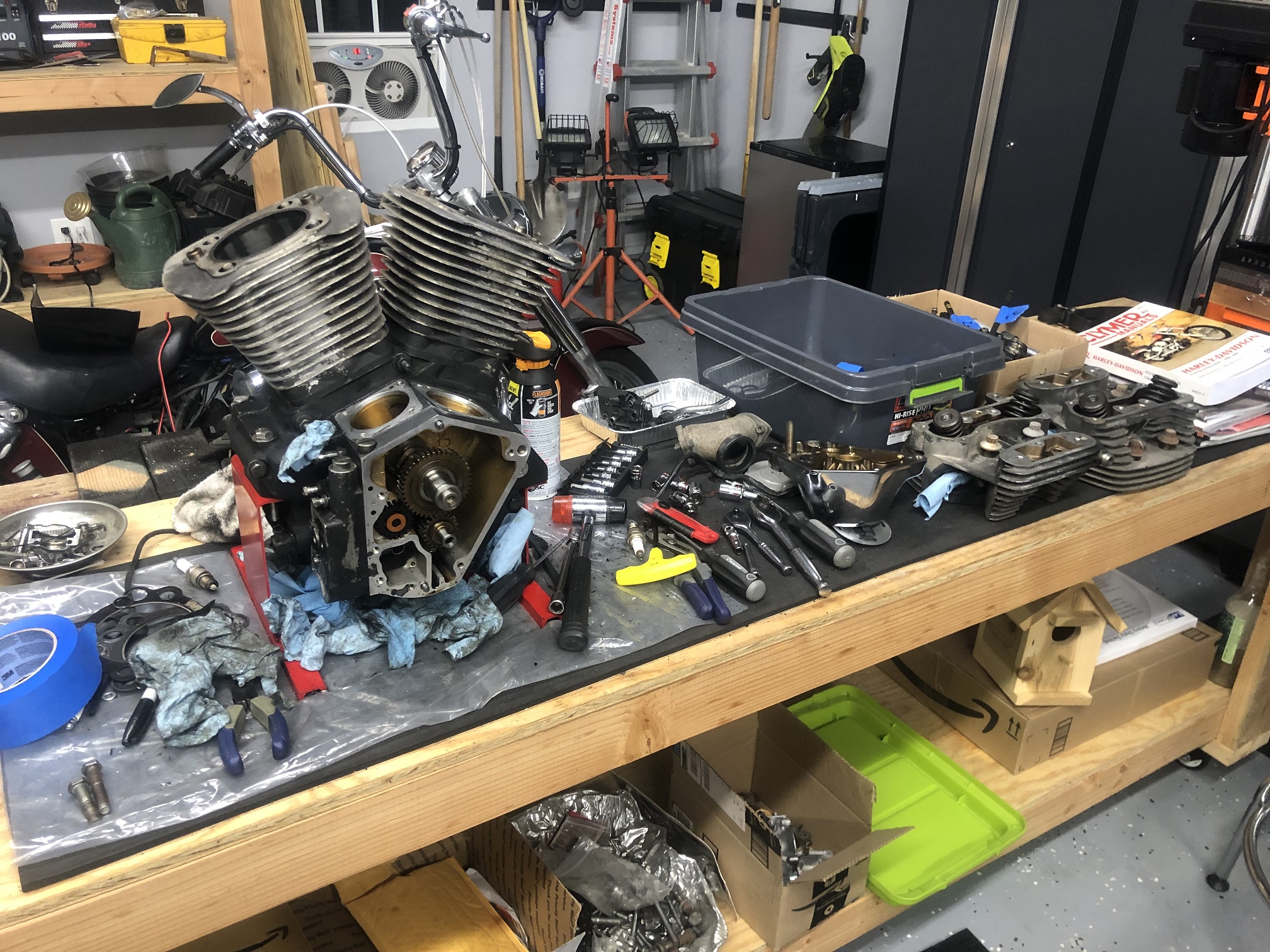 Biggest evo motor discount