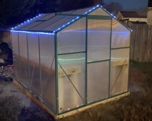Greenhouse Solar Lights