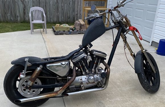 Picked up a new Sportster project…
