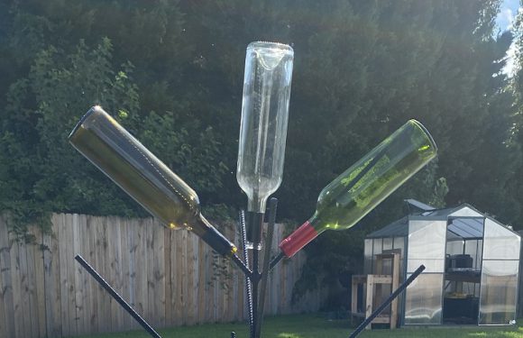 Wine Bottle Tree…